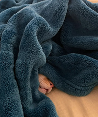 ������· ��һ�£�è˯��ʱ��Ҫ¶��������