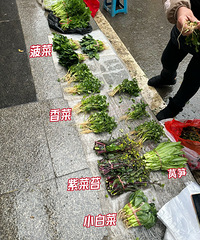 2024��ĵ�һ�����ˣ����ǿ���û��