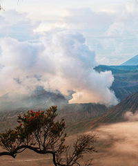 春节自由行印尼,一半火山一半海岛