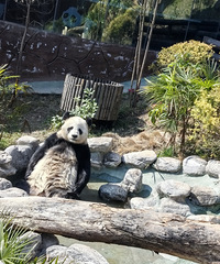 �ֺ��ֶ�Ҳ�ܿ���è�ˣ����ٲ��򼷻��ܸ���è����