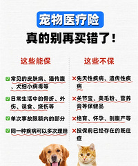 ���ϱ��ĳ���ҽ���գ��������Щ������Ŷ