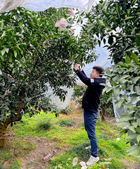 ĩʱⲻȣͷɣȥũһ²ͬȤ