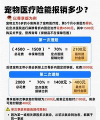 ���ϱ��ĳ���ҽ���գ��������Щ������Ŷ