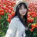 养猫的企划妹子待脱单