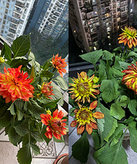 �������������ˣ����ܾ���