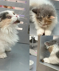 ��ô�ɰ��Ĺ����ף���Ȼ�����Լ��ı��