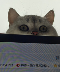 ������è�ල��ѹ�ȸУ�˭��������͵������û����