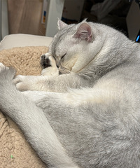 ׼����èȥ�����ˣ���ʲô��Ҫע�����