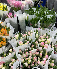 ̽м۸񣺹껨м۸ƺˣ