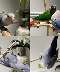 ���˳��ˣ��ҵ���ᷭ��ͷ��