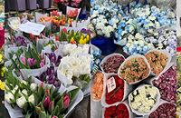 �����껨�м۸�����ˣ���ĵ��5Ԫ����ʾ�8Ԫ