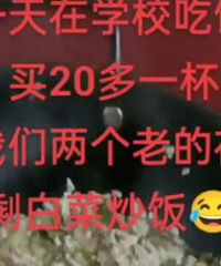 令人心塞的“1盘剩白菜炒饭”