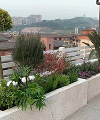 草长莺飞二月天,200平的花园露台是家里最茂盛的地方