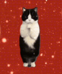 ������ֵ���򡿴����������25��20������˿����ܷ�ɹ˪99