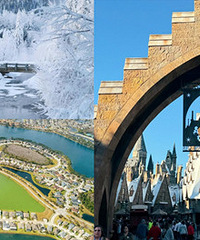 2024���������У�20��ȥ��4������