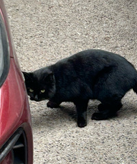 2023��Ȼع˴�������С�����ǵ���Ȥ˲��