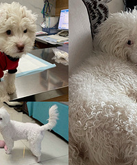 ������ֵƮ���������Ƿ��ͳ���������