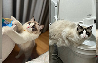 һ�����Ͱ�о��������Լ��Ȱ�ť��ˮji����ˣ