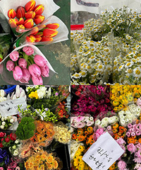 Ԥ��10Ԫ���ڻ���Ҳ���򵽺ܶ໨