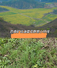 亲子徒步发现野葱花海世界,美出了天迹