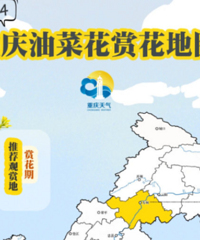 “重庆油菜花赏花地图”出炉