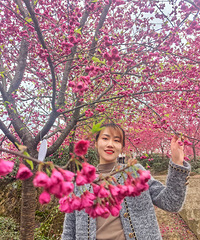 92��171CM������ҽ�����飬��ס�������������ڽ�ű�