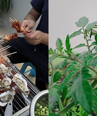 终于实现自己动手种菜的日子了
