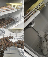 �����ˣ�˭˵ϴ�����ϴ����ģ�