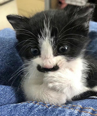 Сè�������Ĥ�۾�����ɫ�𣿶�����ꣿ