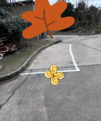 ����˭�ɵģ���һ�ؼҷ���С��¥�±���˽����ͣ��λ