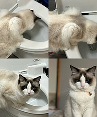 ����ˮ�ְ��棬һ��ע����굽��Ͱ����