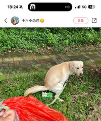 [�²�]�޹�����ʺ����զ��ģ������������������Ķ����ö���