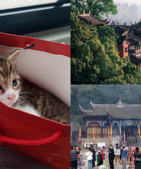 �Ͼ������飬Сè�����ҵ����¼�