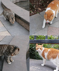 Сè��Ȼ�����ˣ����������Ǹ���ֵ