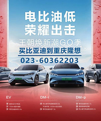 比亚迪王朝焕新潮GO 认准重庆隆想