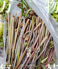 蕨菜,野葱,折耳根太多了,根本扯不完