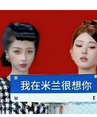 小花勇闯时装周,人手一套丑图