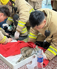 �������Ա�𳡾�è����è����������ѹ���ж�