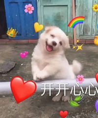 ������ת��֮���ҿ��ֶ��ˣ�