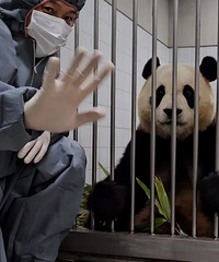 ��è�����ع�����ʱ���������˵Ĳ���������