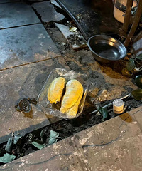 ��Щ������ι����è�ķ�ʽ̫���������������⣿