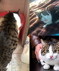 è12���ˣ����������С����