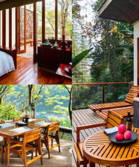 5���Ƽ�������������Ȫ�Ƶ��컨��