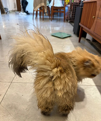 �����������ܺ��߳�����........