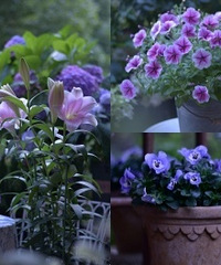 �뻨��4�꣬�Ҽ���̨����С��԰