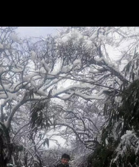 90178CMҽҩҵĸ飬ϣԷȶ