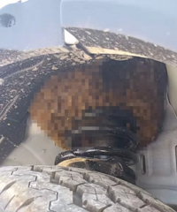 �����ʴ�ң��⳵���׻��ܲ��ܼ�����