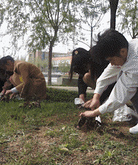 挖野菜这个当!这辈子就上这一次!