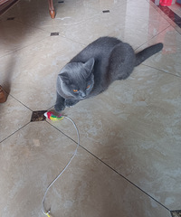 91��172CM�ĳ���Ա�������飬��ְ��ý����Ӫ