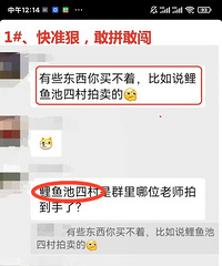 ���ֲ���Ǩ�е�ʵ������������������Ĵ�11�׷�